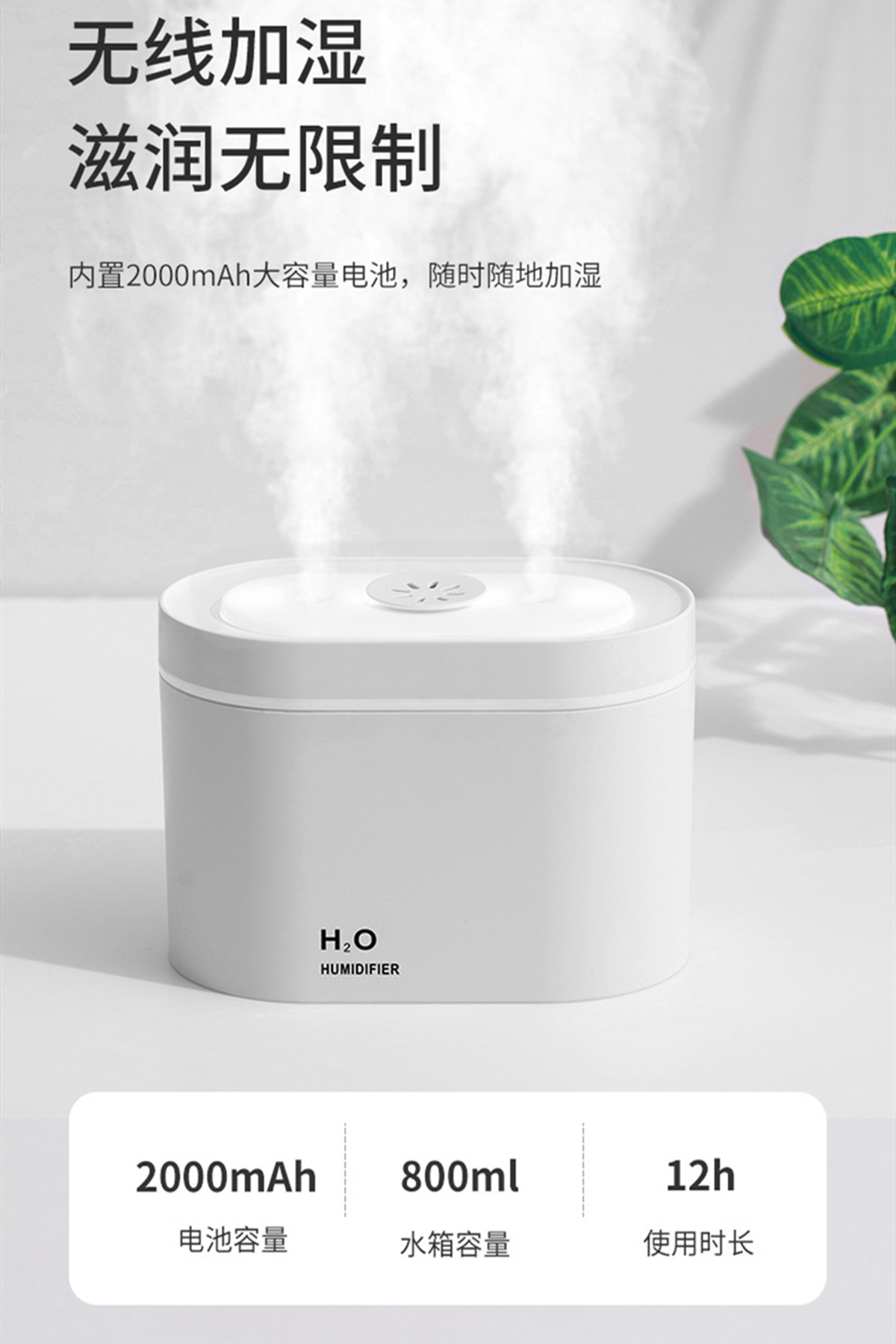 双喷迷你加湿器